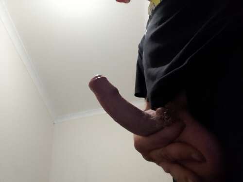 bungeye